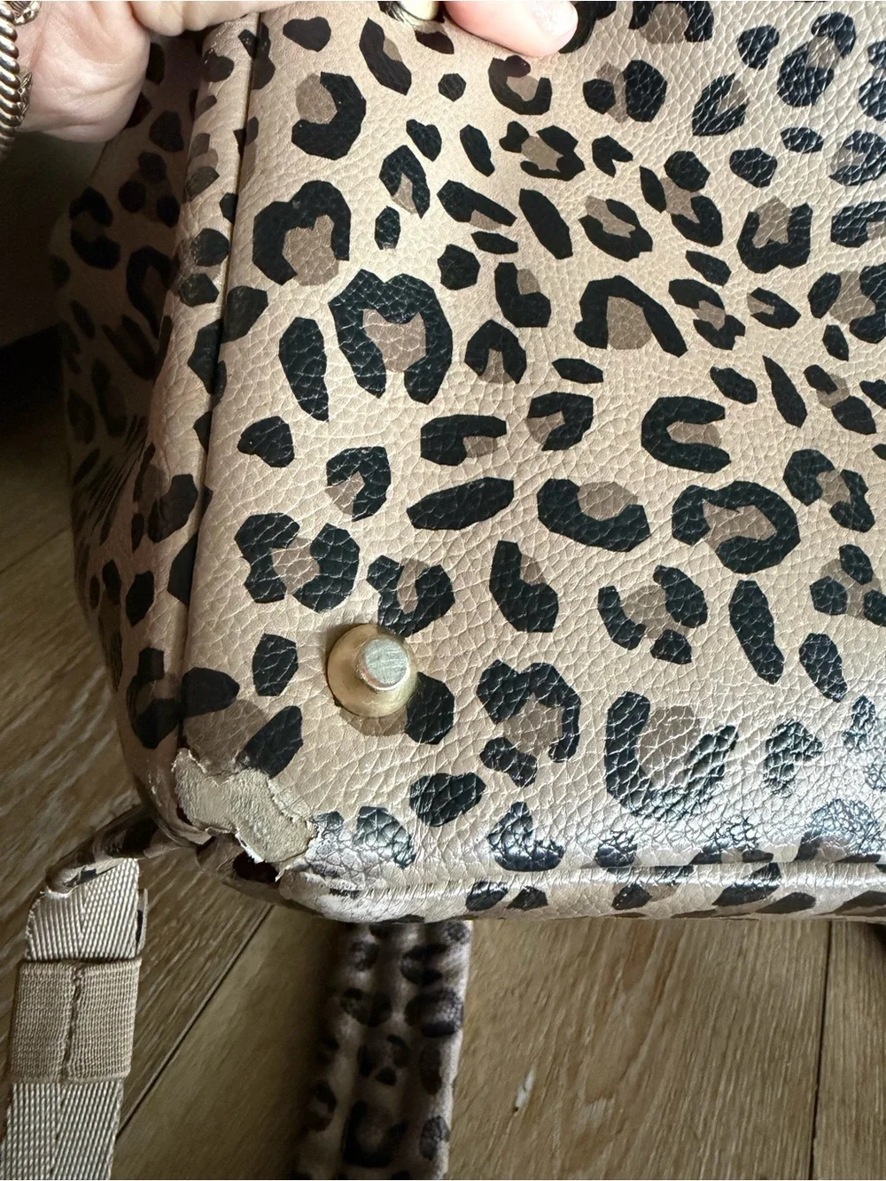 Freshly Picked Leopard Classic Diaper Backpack Large
